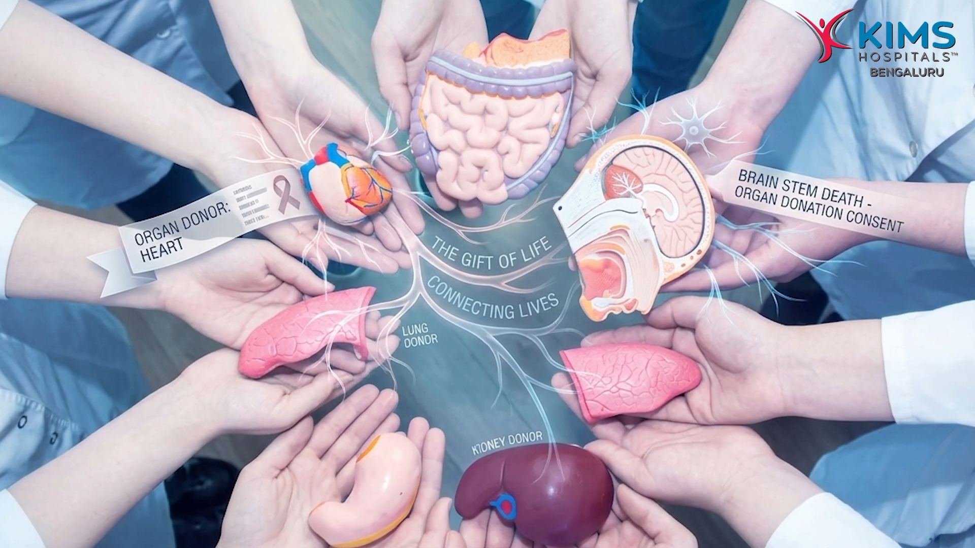 Importance of Organ Donation